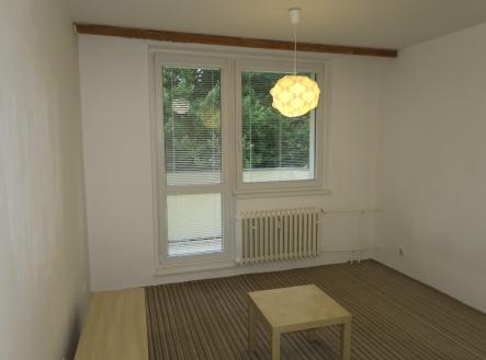 IMG_0308 | Pronájem bytu, 1+1, 30 m²