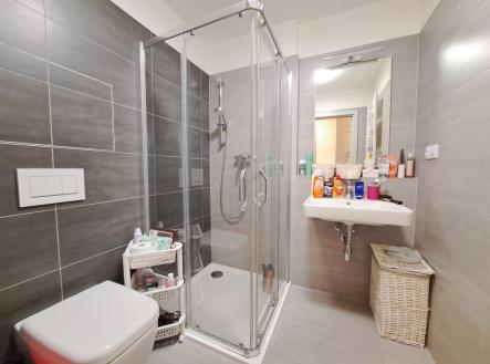 20250429_110538 | Prodej bytu, 1+kk, 32 m²