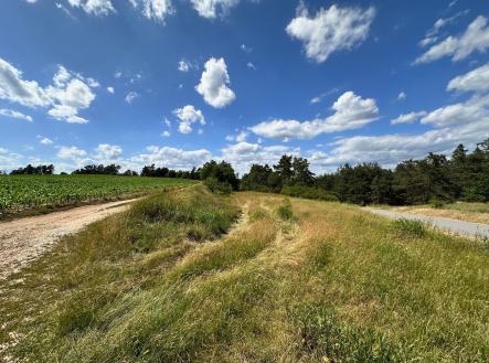 IMG_5720 | Prodej - pozemek, les, 24 443 m²