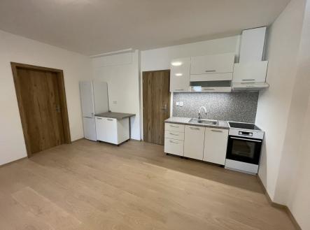 IMG_4670(2) | Pronájem bytu, 3+kk, 72 m²