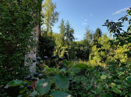 20250808_095639 | Prodej - dům/vila, 100 m²