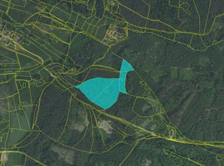 LV 591_Vystrkov_sat | Prodej - pozemek, les, 40 085 m²
