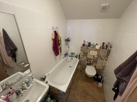 IMG_1461 | Pronájem bytu, 2+1, 48 m²