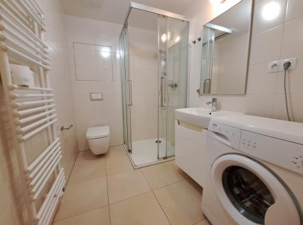 20251202_130212 | Pronájem bytu, 1+kk, 24 m²