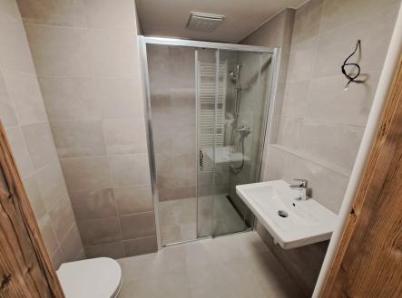 20251112_145045 | Pronájem bytu, 3+kk, 66 m²