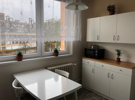 IMG_5336 | Pronájem bytu, 1+1, 35 m²