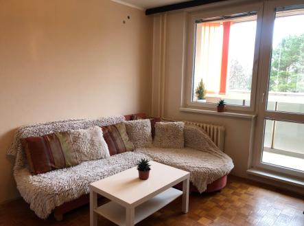 IMG_5359 | Pronájem bytu, 1+1, 35 m²