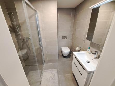 20260309_155401 (002) | Pronájem bytu, 2+kk, 60 m²