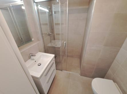 20240529_100042 | Pronájem bytu, 2+kk, 50 m²