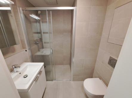 20260326_152534 | Pronájem bytu, 1+kk, 27 m²