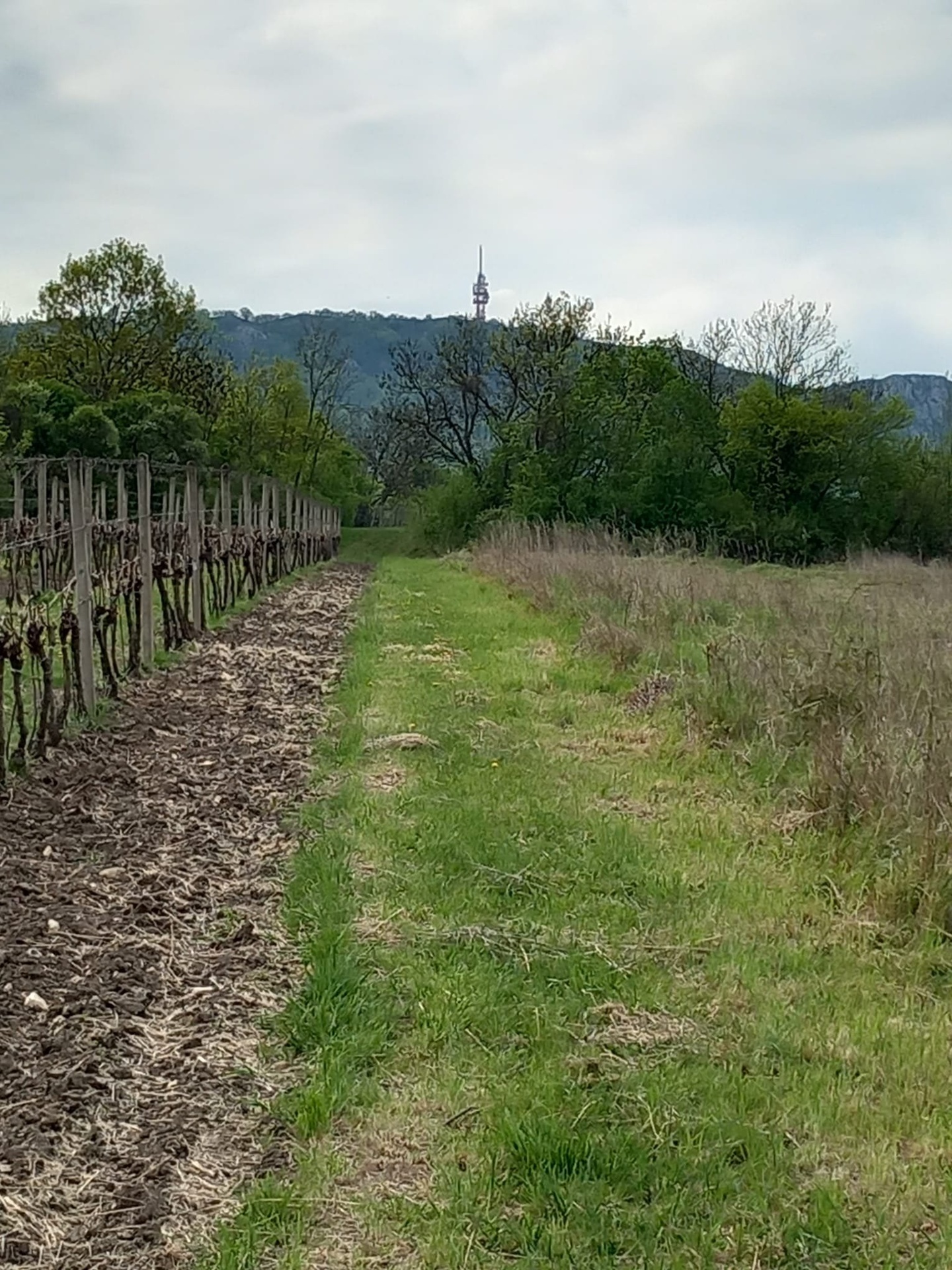 PHOTO-2026-04-19-15-24-28 a