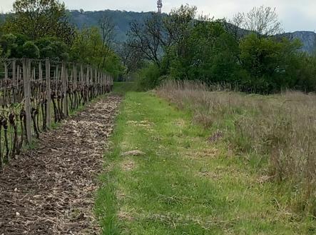 Prodej - pozemek pro bydlení, 1 941 m² obrázek