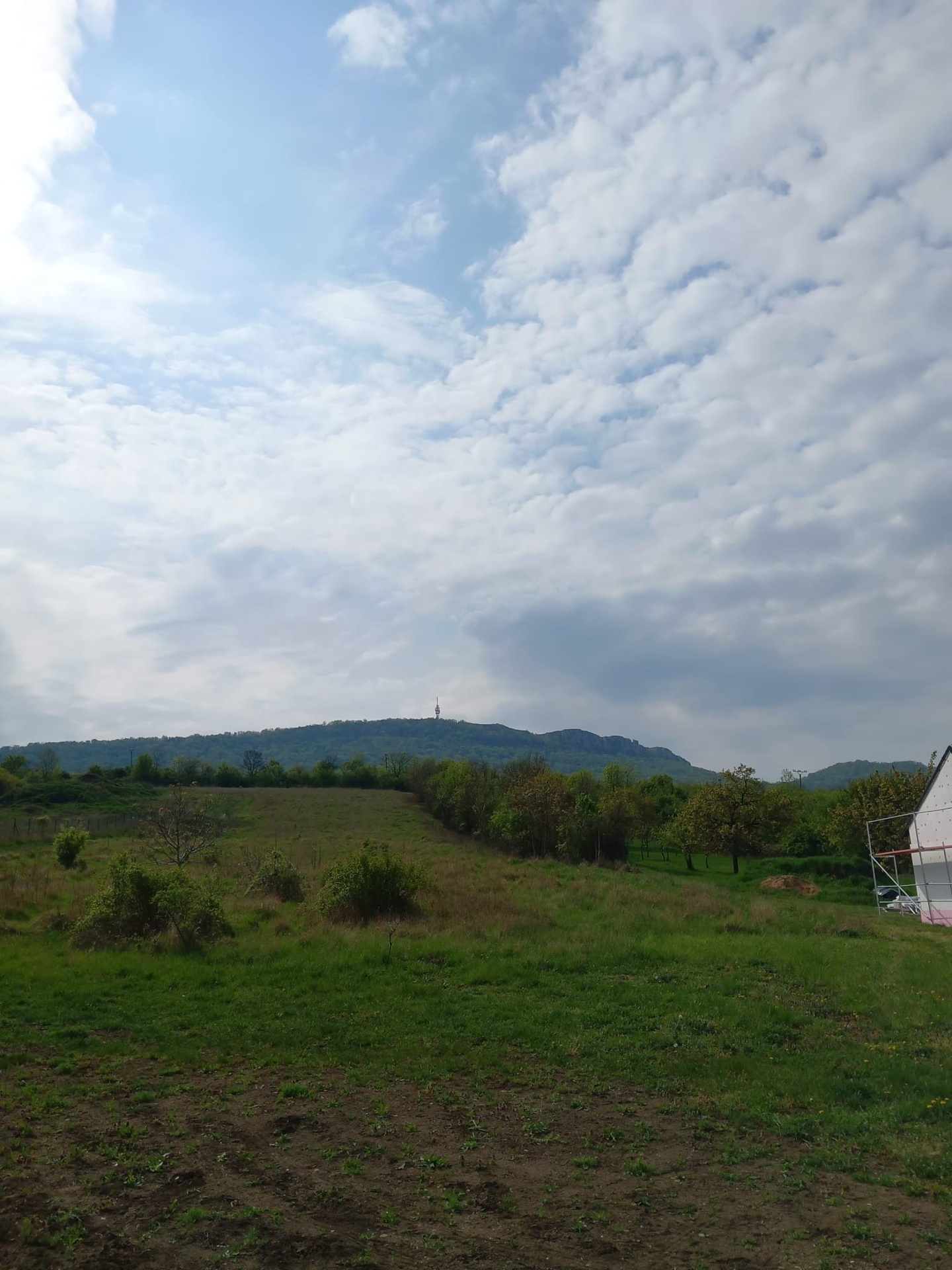 PHOTO-2026-04-19-15-24-27