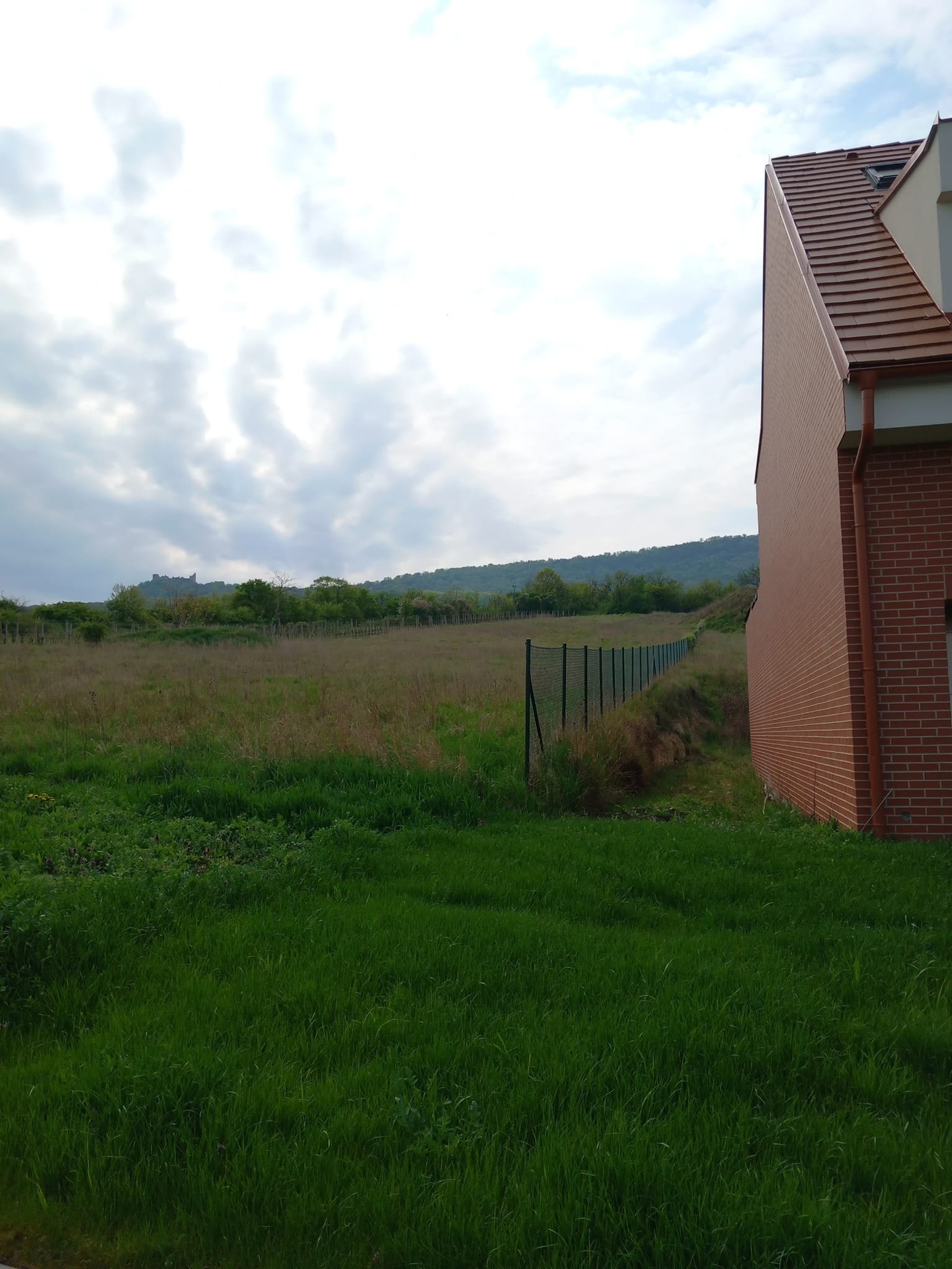 PHOTO-2026-04-19-15-24-28