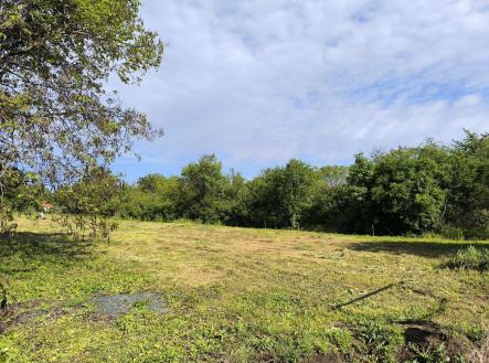 IMG_20240520_084519 | Prodej - pozemek pro bydlení, 1 845 m²