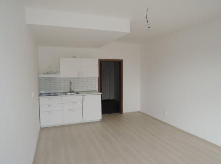 DSCN8177 | Pronájem bytu, 1+kk, 32 m²