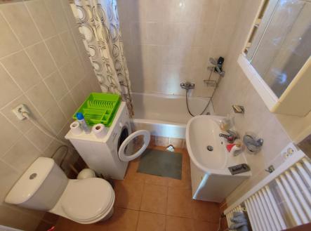 IMG_20240109_102456 | Pronájem bytu, 1+kk, 21 m²