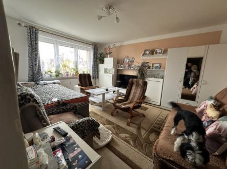 IMG_0684 | Prodej bytu, 1+1, 39 m²