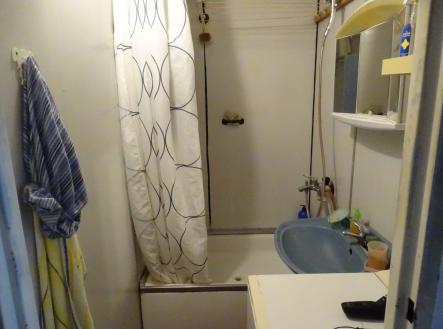 DSC05205 | Prodej bytu, 1+1, 44 m²