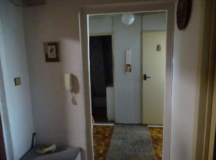 DSC05210 | Prodej bytu, 1+1, 44 m²