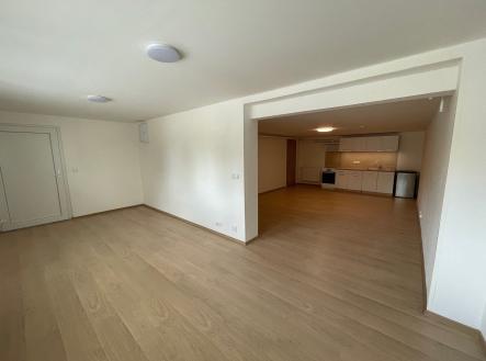 pohled směrem kuchyně | Pronájem bytu, 1+kk, 47 m²