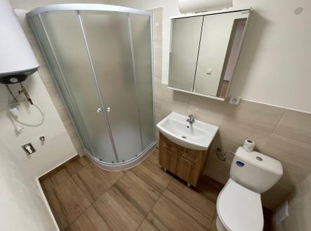 koupelna | Pronájem bytu, 1+kk, 47 m²