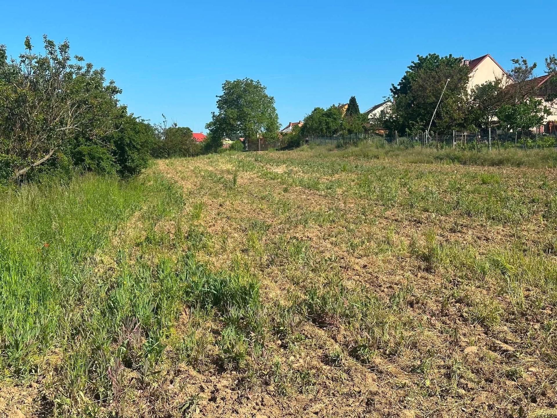 FOTO_LV 2737_Boršice u Buchlovic_3