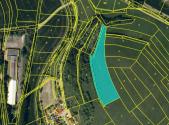 Prodej - pozemek, trvalý travní porost, 8 138 m²