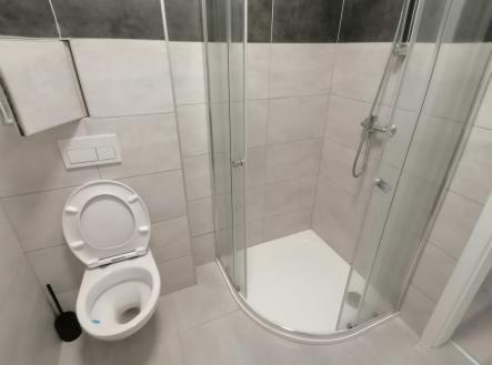 IMG_20260609_163102 | Pronájem bytu, 1+kk, 27 m²