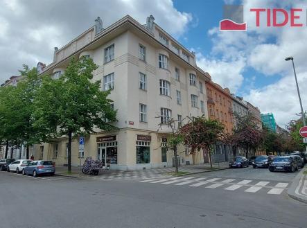 Pronájem bytu, 5+1, 250 m² obrázek