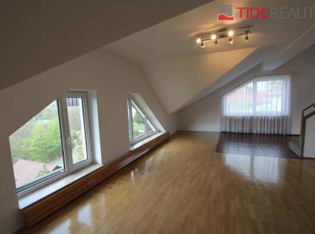 . | Pronájem bytu, 6+1, 290 m²