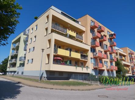 Pronájem bytu, 1+kk, 45 m² obrázek