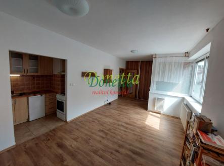 3-pokoj-2.jpg | Pronájem bytu, 1+kk, 35 m²