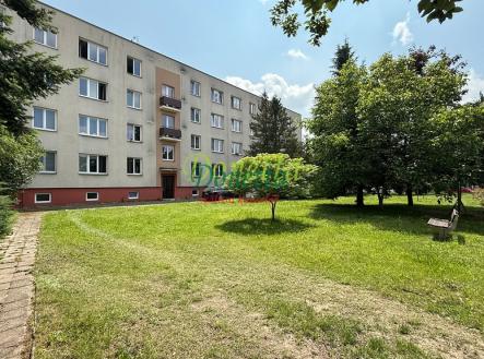 Pronájem bytu, 1+kk, 21 m² obrázek