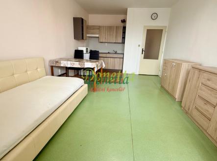 Pronájem bytu, 1+kk, 35 m² obrázek