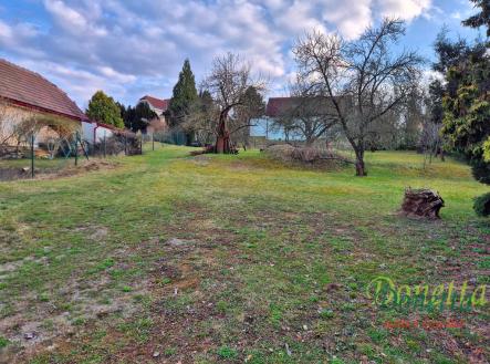 1.jpg | Pronájem - pozemek, zahrada, 1 000 m²