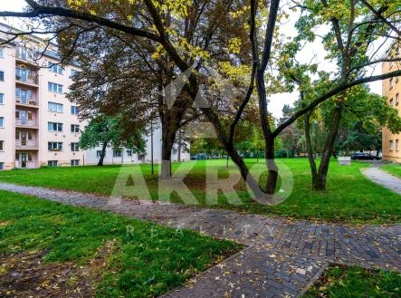 Prodej bytu, garsoniéra, 29 m²