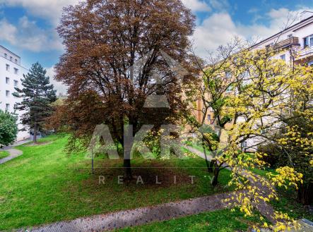 Prodej bytu, garsoniéra, 29 m²