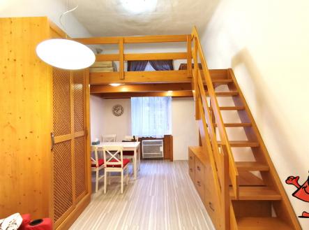 Pronájem bytu 1+KK v ulici Na Bojišti, Praha 2 - pokoj | Pronájem bytu, 1+kk, 27 m²