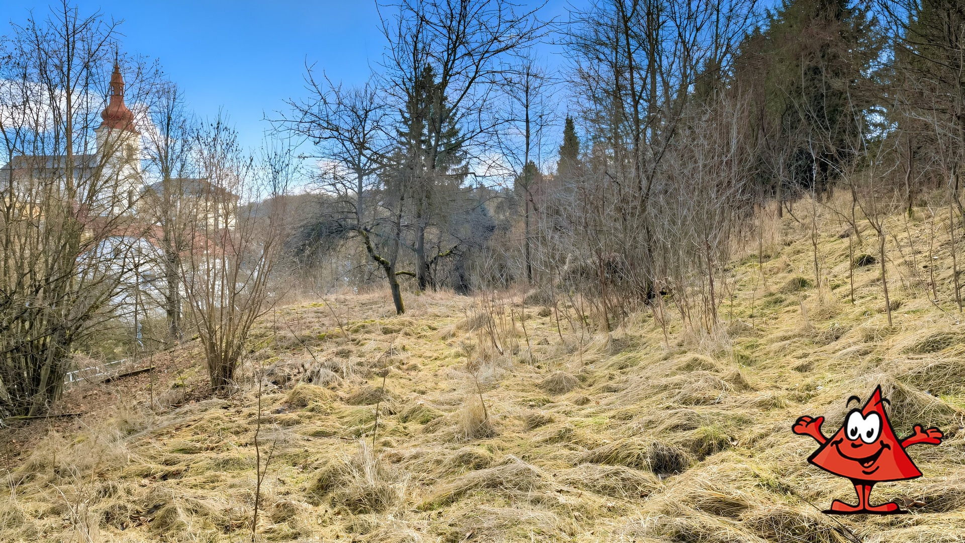 Parcela na prodej Volfartice, Česká Lípa - porosty na pozemku od plotu 2