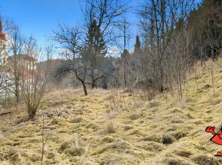 Parcela na prodej Volfartice, Česká Lípa - porosty na pozemku od plotu 2 | Prodej - pozemek pro bydlení, 1 372 m²