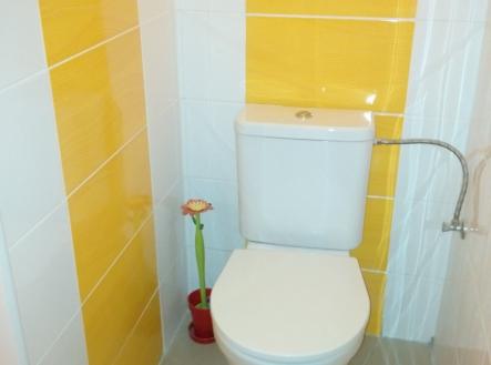 IMG_20171004_190200 | Pronájem bytu, 1+kk, 32 m²