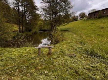 Prodej - pozemek, trvalý travní porost, 8 891 m²