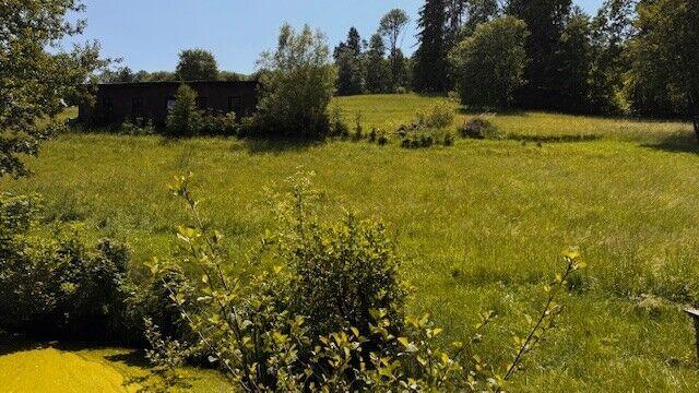 Pozemek 8891 m2 s mobilheimem v Levínské Olešnici, okr. Semily
