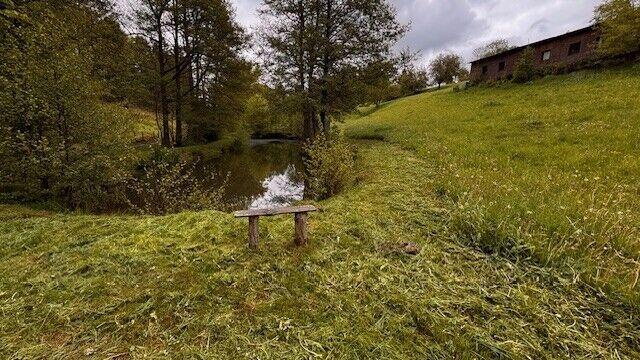 Pozemek 8891 m2 s mobilheimem v Levínské Olešnici, okr. Semily