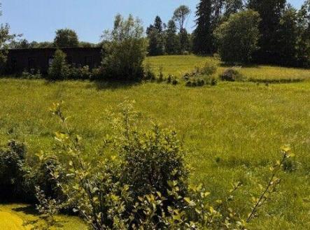 Prodej - pozemek, trvalý travní porost, 8 891 m²