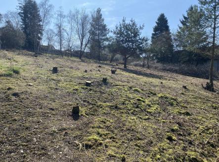 Prodej - pozemek pro bydlení, 1 291 m²