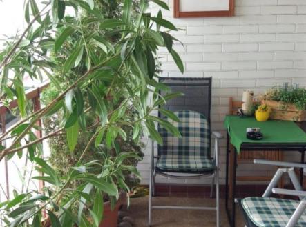 Pronájem bytu, 3+kk, 170 m² obrázek