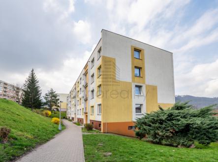 Prodej, byt 3+1, Barrandova, Střekov, Ústí nad Labem | Prodej bytu, 3+1, 71 m²