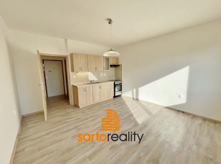 IMG_4994 | Pronájem bytu, 2+kk, 41 m²